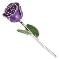 Lacquer Dipped Silver Trimmed Lilac Rose ,