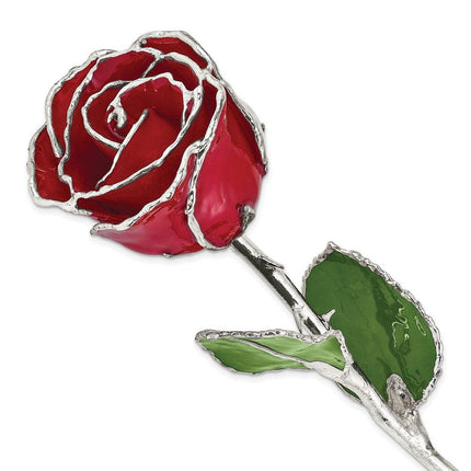 Lacquer Dipped Silver Trimmed Red Rose ,