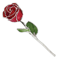 Lacquer Dipped Silver Trimmed Red Rose ,