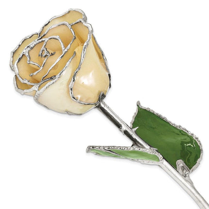 Lacquer Dipped Silver Trimmed White Rose ,