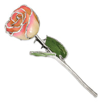 Lacquer Dipped Silver Trimmed White/Pink Rose ,
