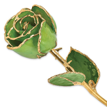 Laquer Dipped Gold Trimmed Peridot/Topaz Rose ,