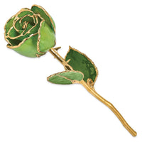 Laquer Dipped Gold Trimmed Peridot/Topaz Rose ,