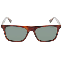 Polaroid Core Men's Sunglasses - Polarized Green Lens Havana | PLD 6110/S 0XGW UC ,