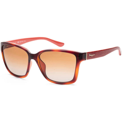 Salvatore Ferragamo Women's Sunglasses - Full Rim | SALVATORE FERRAGAMO SF716S 207 ,