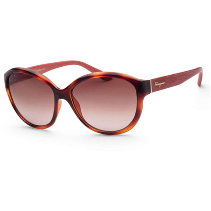 Salvatore Ferragamo Women's Sunglasses - Full Rim | SALVATORE FERRAGAMO SF717S 207 ,