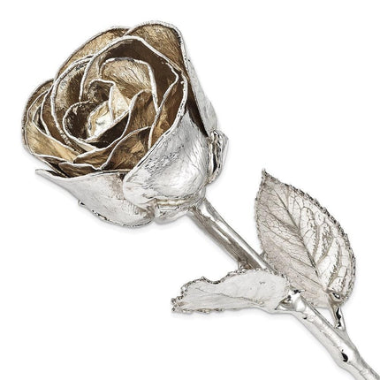 Silver Dipped Rose ,
