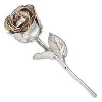Silver Dipped Rose ,