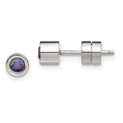 Stainless Steel CZ Feb Birthstone Polished Post Earrings ,