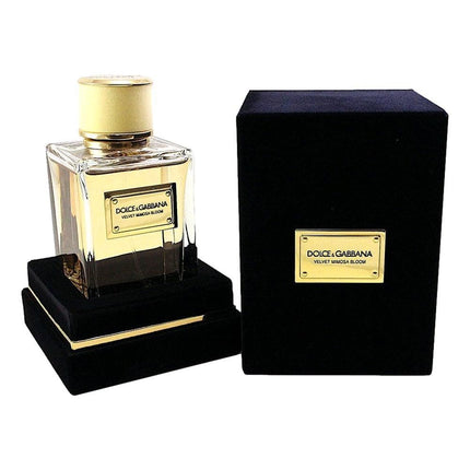 Velvet Mimosa Bloom by Dolce & Gabbana, 5 oz Eau De Parfum Spray for Women ,