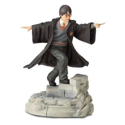 WIZARDING WORLD OF HARRY POTTER Harry Potter Year One ,