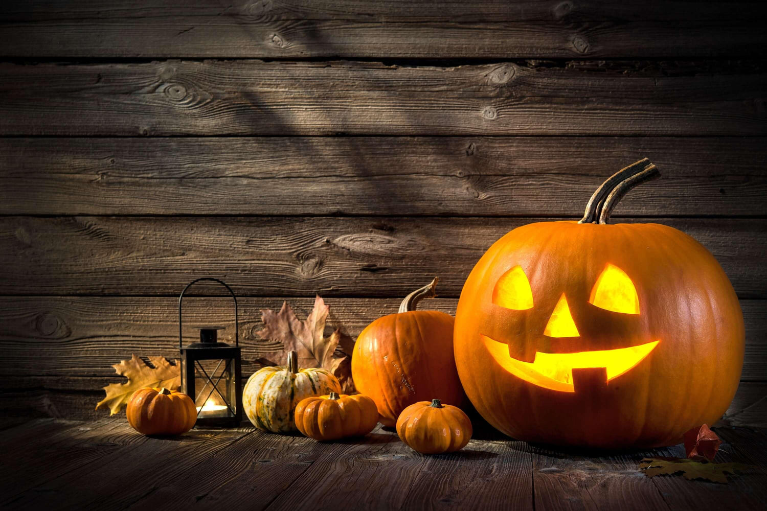 Trick-or-Treat for Adults: Up Your Halloween Game With These Fun Party Gifts and Tricks