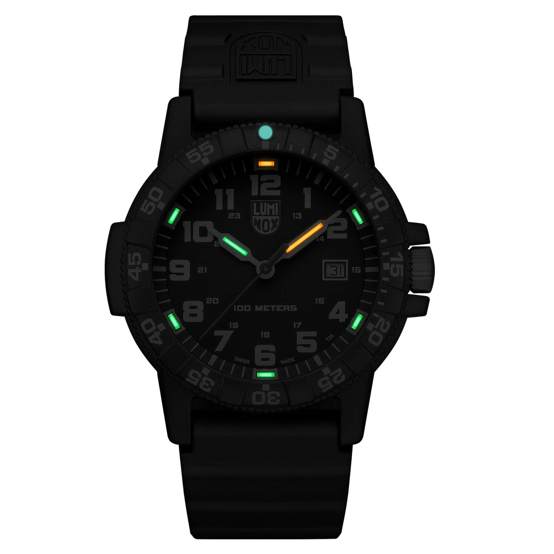 Luminox Sea Turtle Giant 0320 Men's Black Dial Watch | 0321