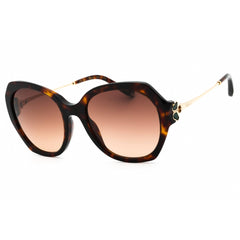 Chopard Women's Sunglasses - Shiny Brown Havana Oversized Acetate Frame | SCH354V 0743
