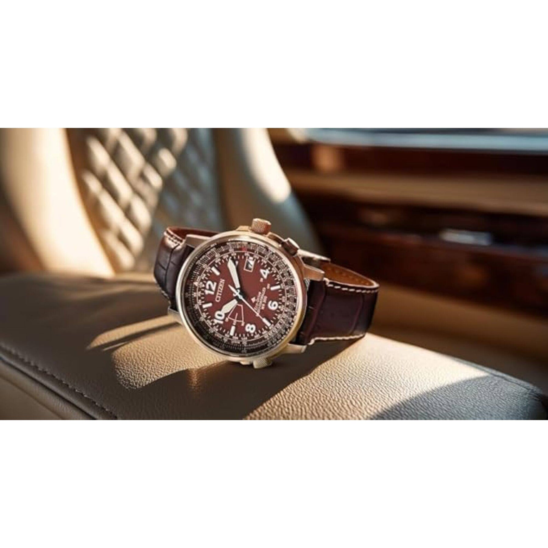 Citizen Men's Watch - Promaster Sky Eco-Drive Brown Dial Leather
