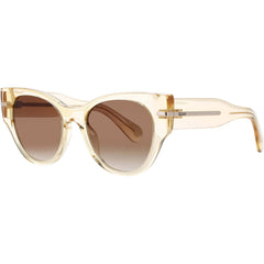 Quay Women's Sunglasses - Dark Forest Acetate Full Rim Frame | CHIT CHAT 77747