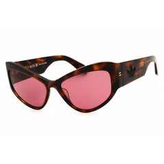 Adidas Women's Sunglasses - Dark Havana Acetate Cat Eye Full Rim Frame | OR0089 52S