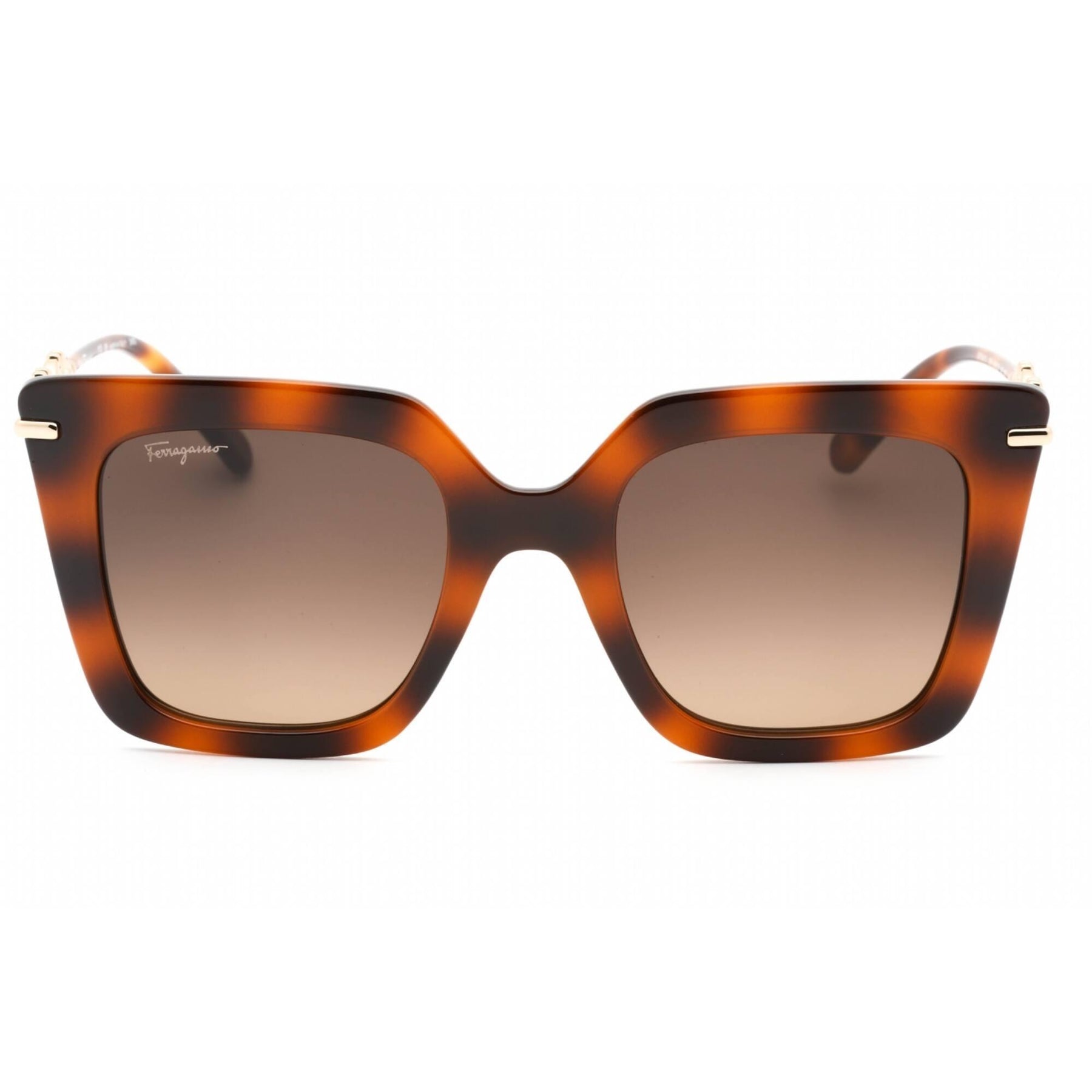 Salvatore Ferragamo classic sunglasses Ferragamo Oval Oversize Classic – Eyedictive main image 4