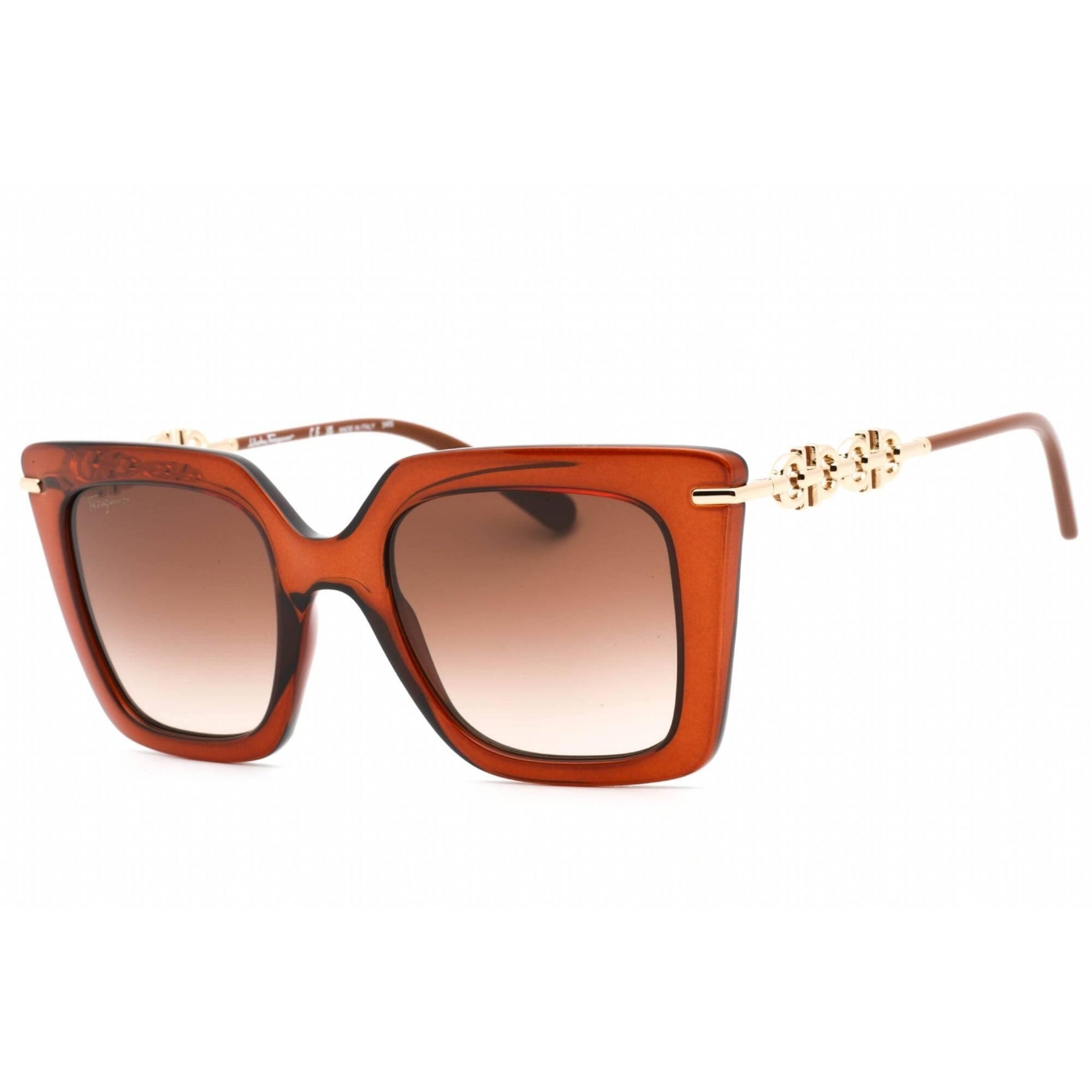 Salvatore Ferragamo Women's Sunglasses - Transparent Brown Acetate