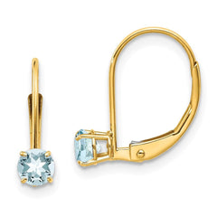 14k Aquamarine Earrings - March