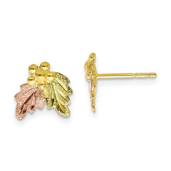 10k Tri-color Black Hills Gold Post Earrings