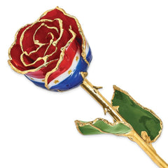 Lacquer Dipped Gold Trim Liberty Rose