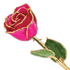 Lacquer Dipped Gold Trim Lilac Pink Rose