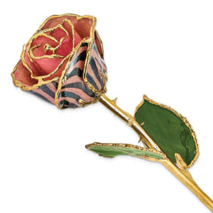 Lacquer Dipped Gold Trim Pink & Black Chameleon Rose