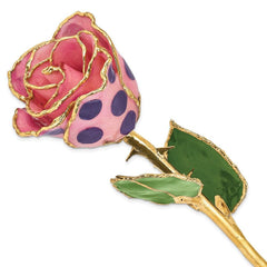 Lacquer Dipped Gold Trim Pink & Purple Dots Rose
