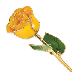 Lacquer Dipped Gold Trim Saffron Rose