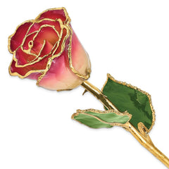 Lacquer Dipped Gold Trim White & Burgundy Rose